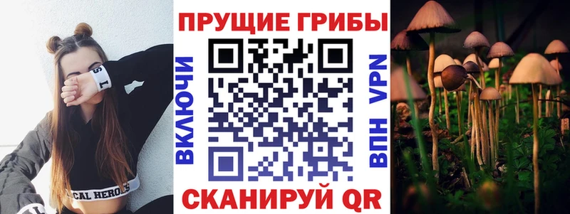 Галлюциногенные грибы Psilocybe  наркота  гидра ссылки  Шатура 